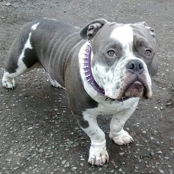 Hi 😊 - Picture 4 of 5